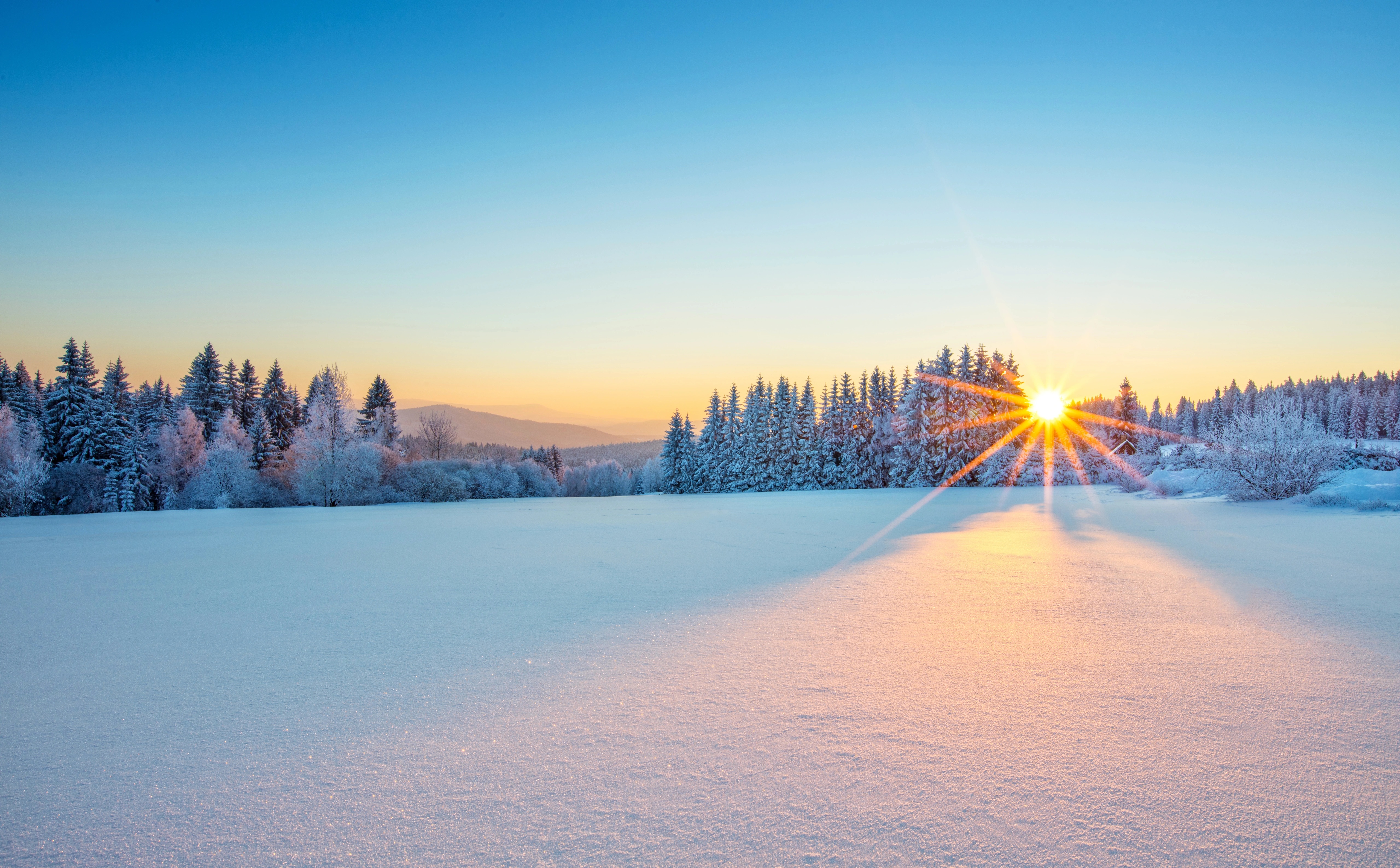 Sunrise across a snow-covered clearing and forest.